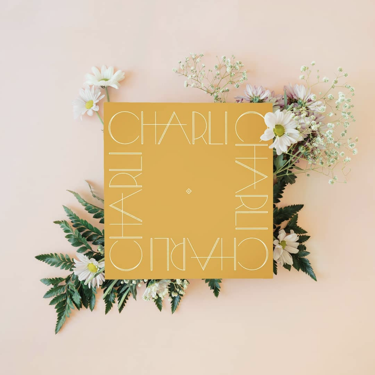 Tina Perko Design