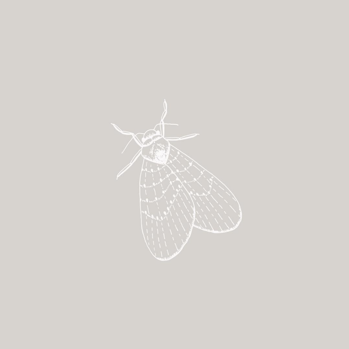 Emma | Creative Design Studio