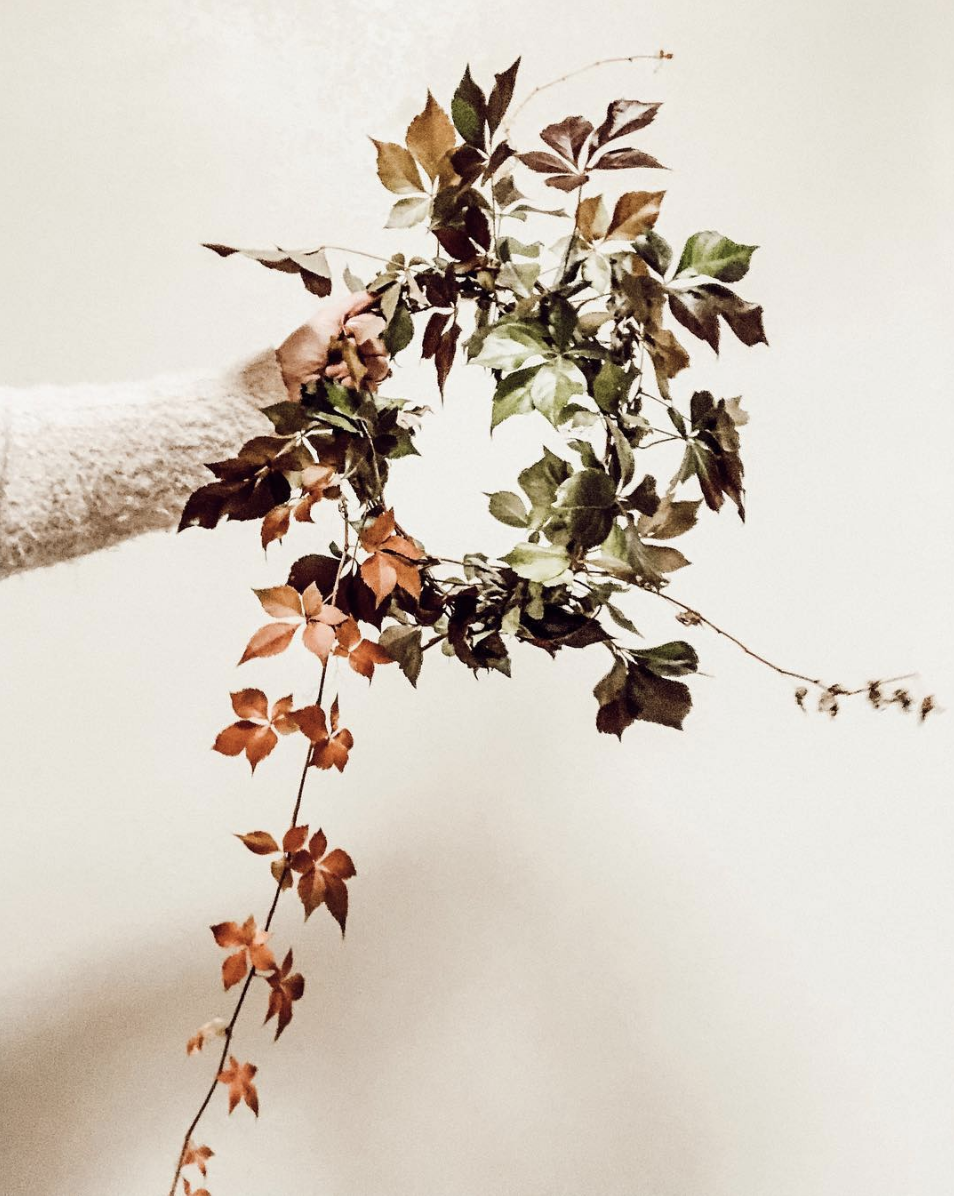 3 Leaf Floral