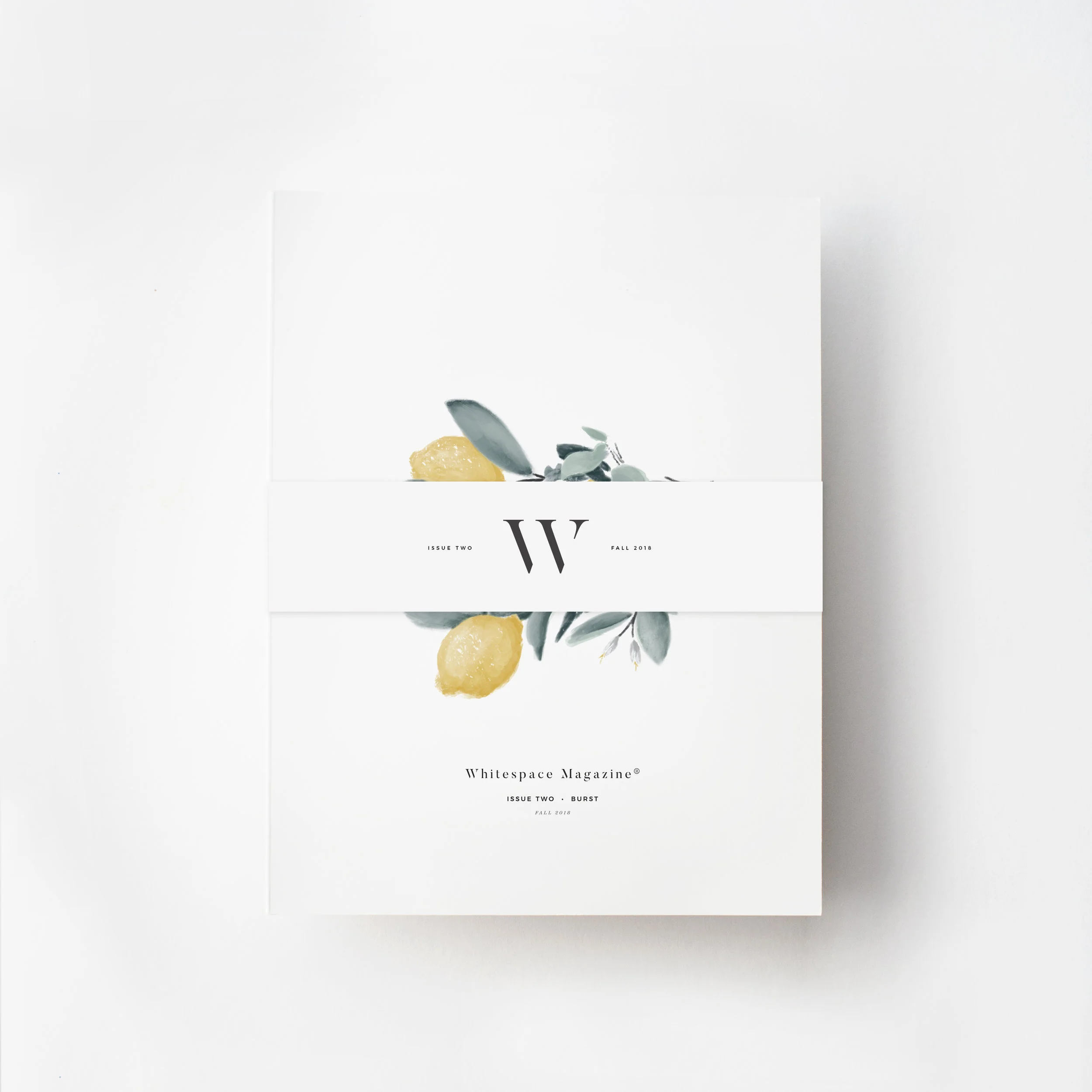 Issue 2 Cover on White with BB.jpg