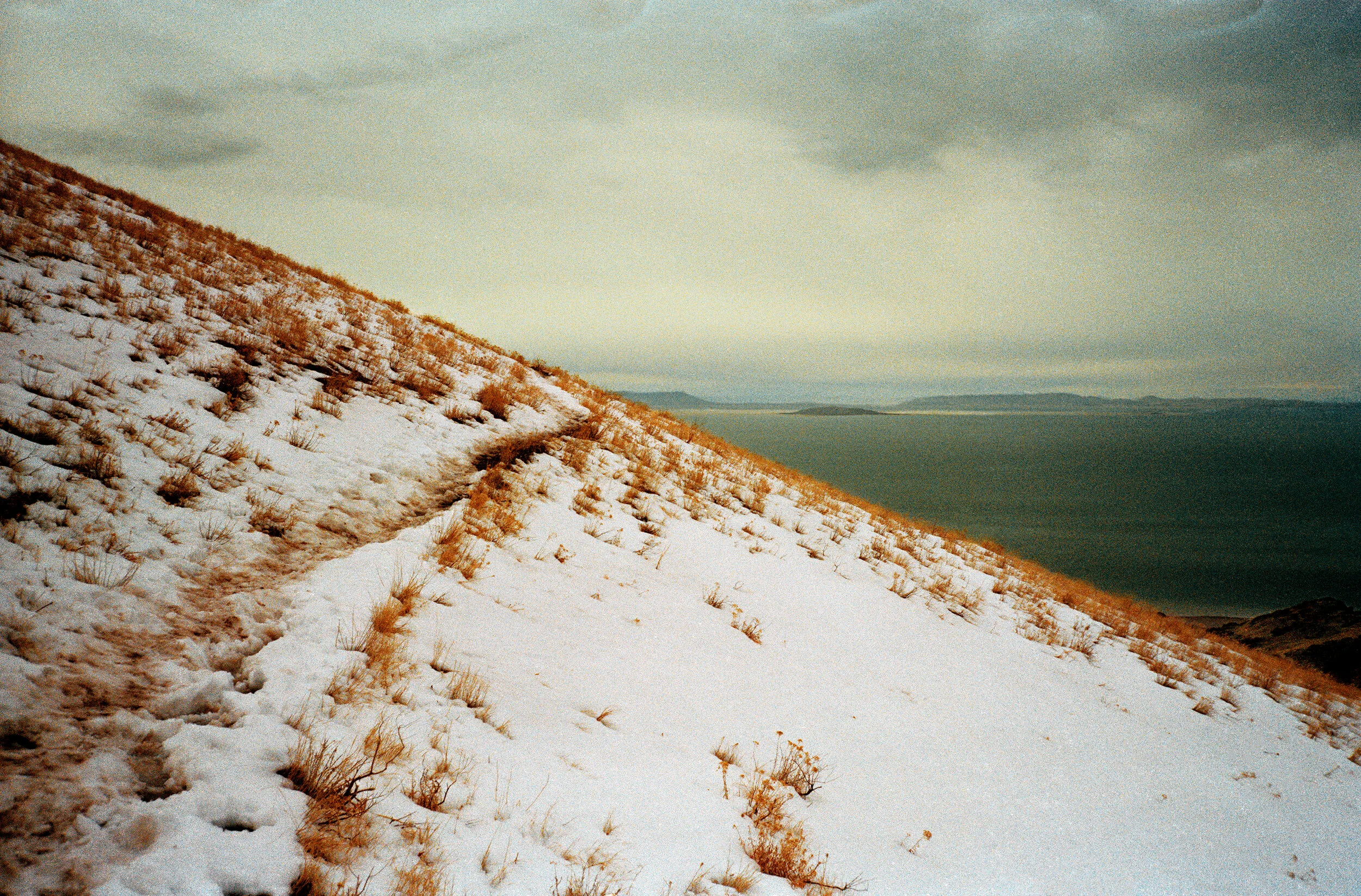 Adrift Final Scan 10-1-18_2.jpg