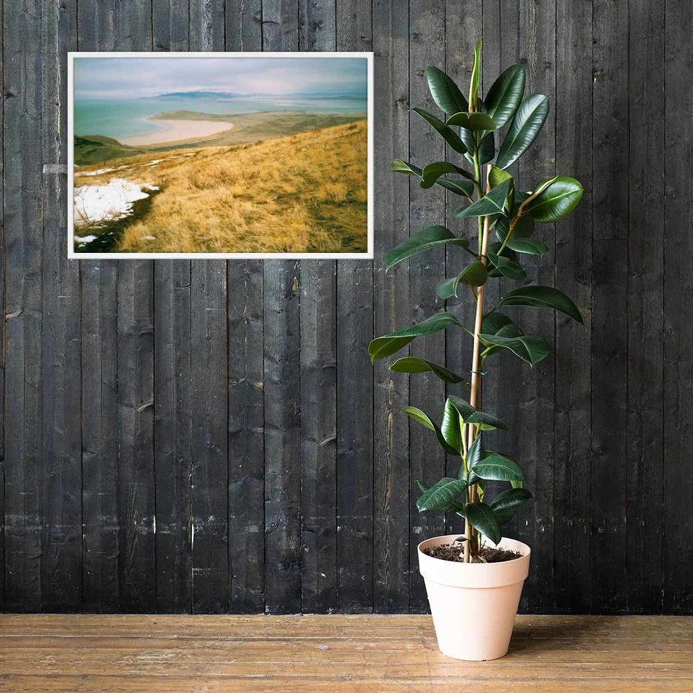 THAW / 002 framed winter high-plains photograph by Nathon Ruehl on a white molding wall