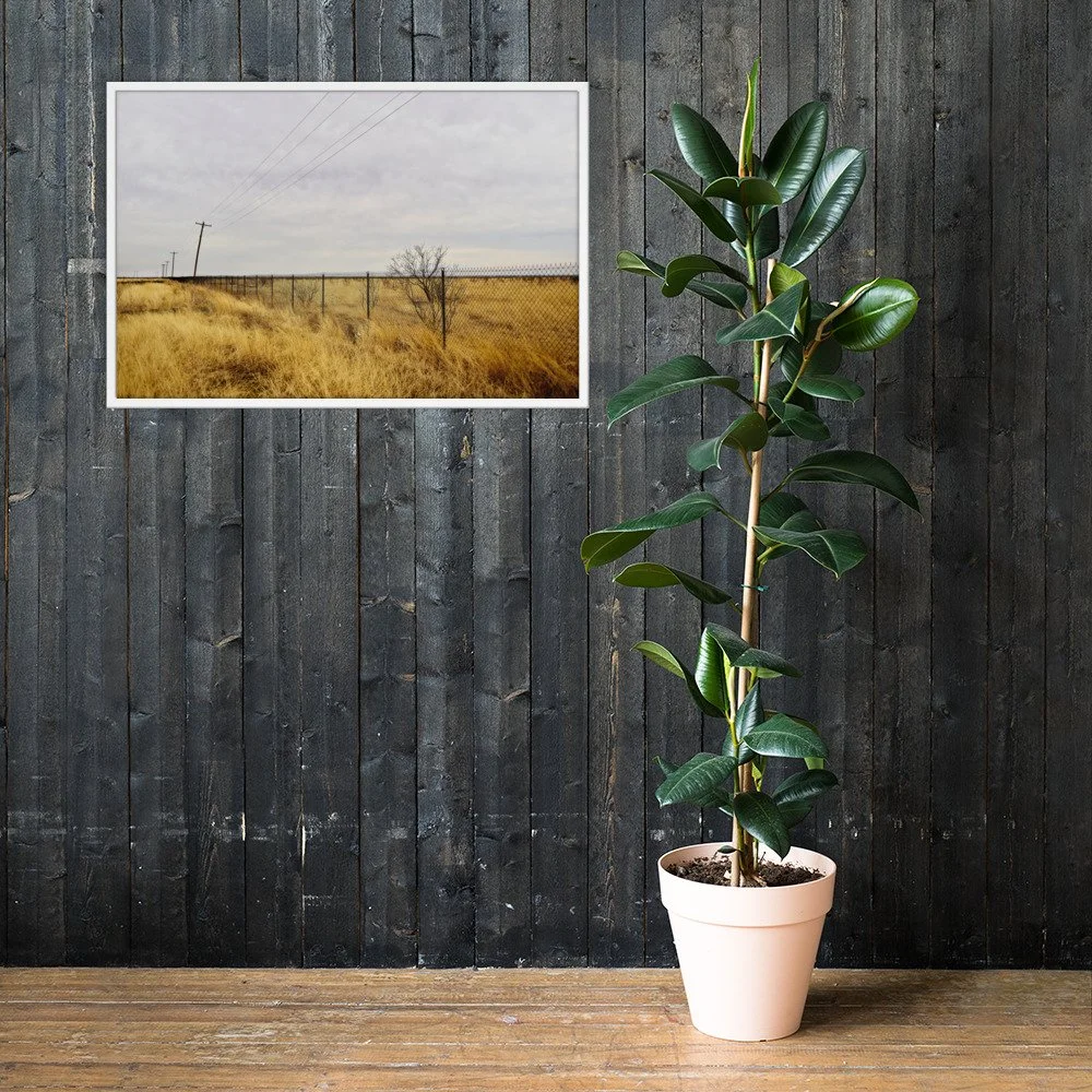 FENCE LINE / 003 framed fence and utility-pole photograph by Nathon Ruehl on a dark wood wall