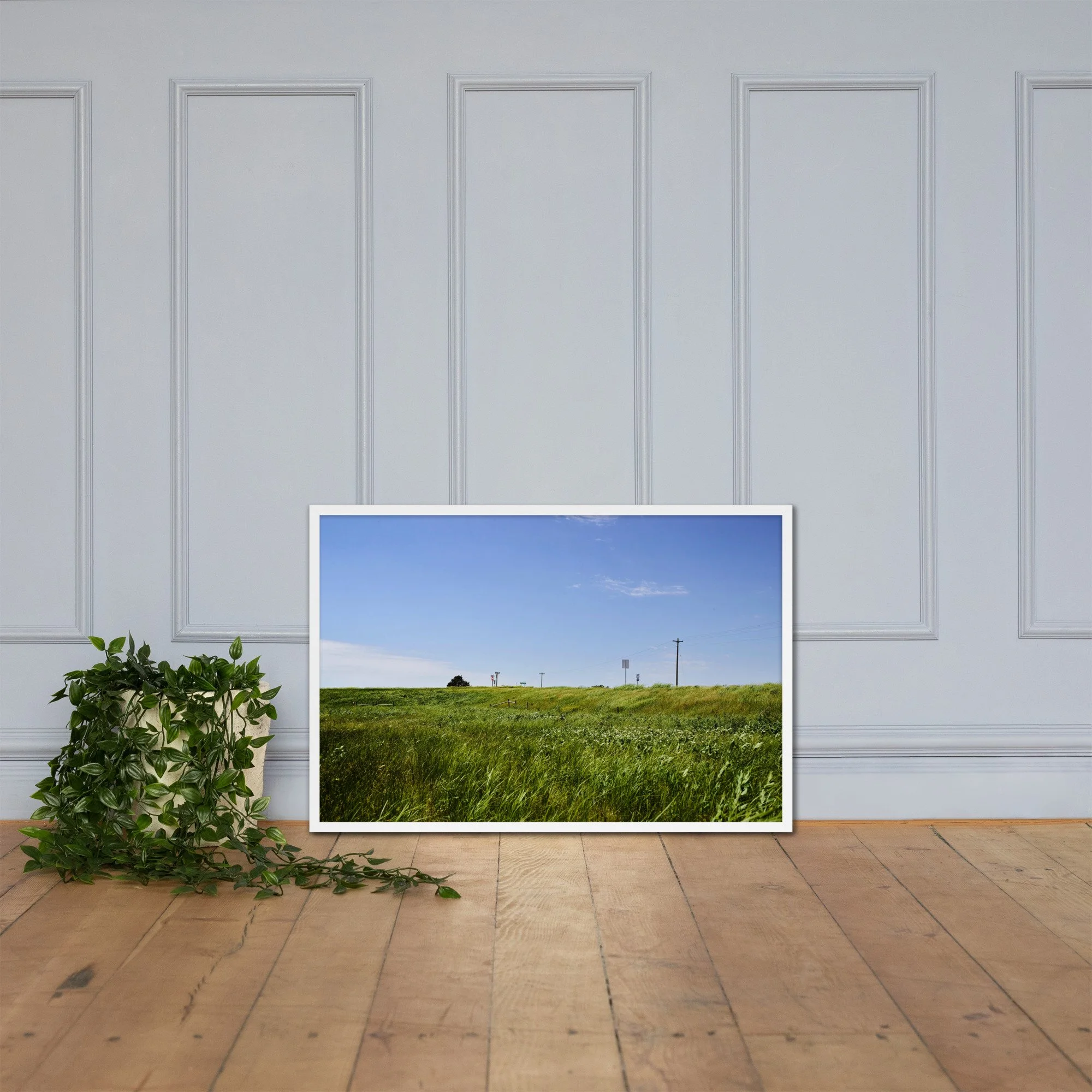 OPEN RANGE / 005 framed open grassland photograph by Nathon Ruehl on a white molding wall