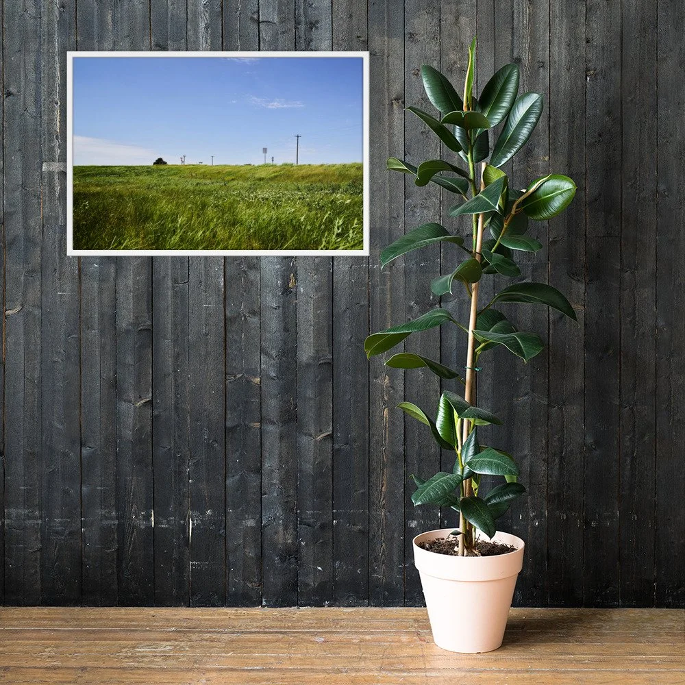 OPEN RANGE / 005 framed open grassland photograph by Nathon Ruehl on a dark wood wall