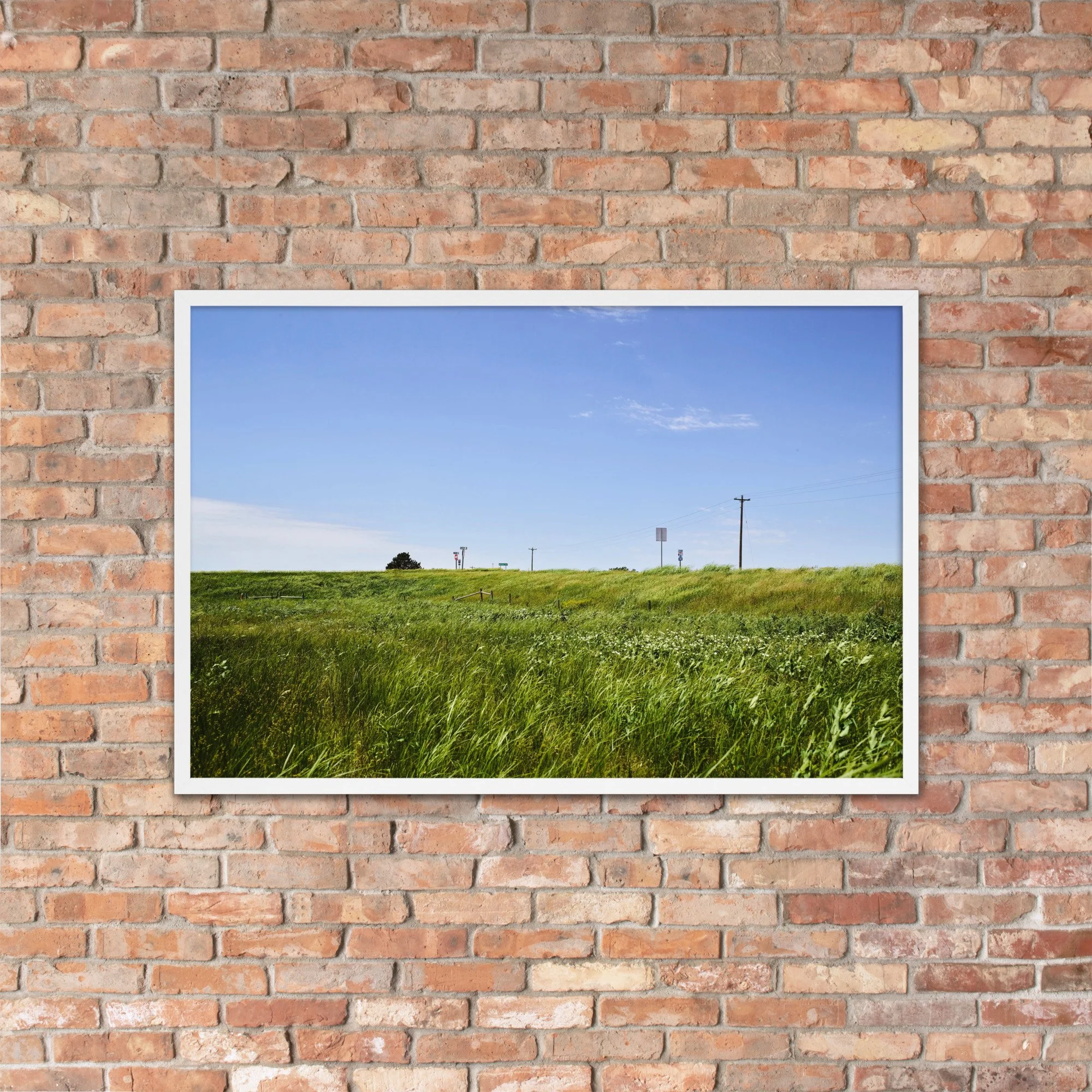 OPEN RANGE / 005 framed open grassland photograph by Nathon Ruehl on a brick wall