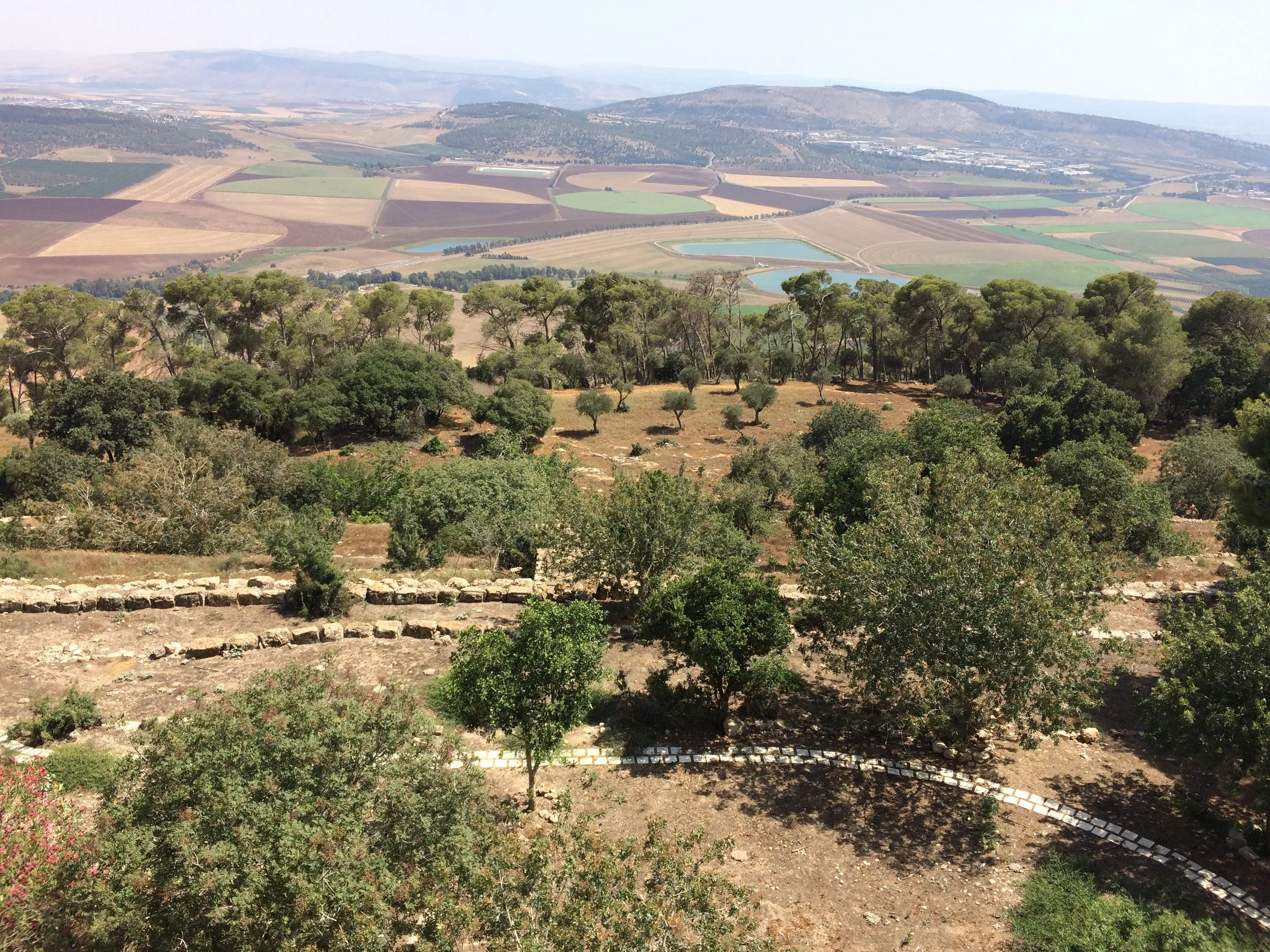 Fertile land of the Valley of Jezreel