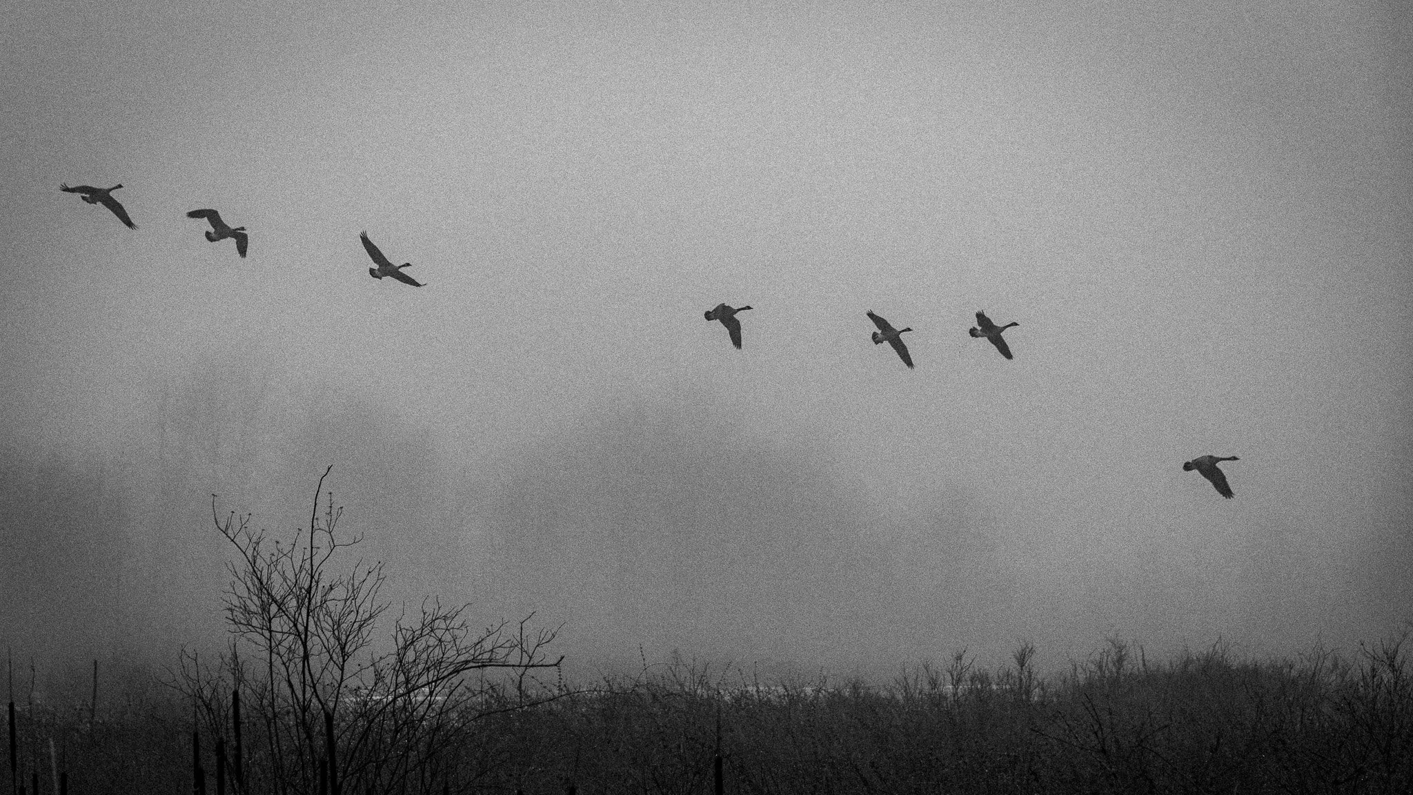 SuperFoggyHike_2024-01-27_09-01-09_WRW_2155_©Rafi WIlkinson2023.jpg
