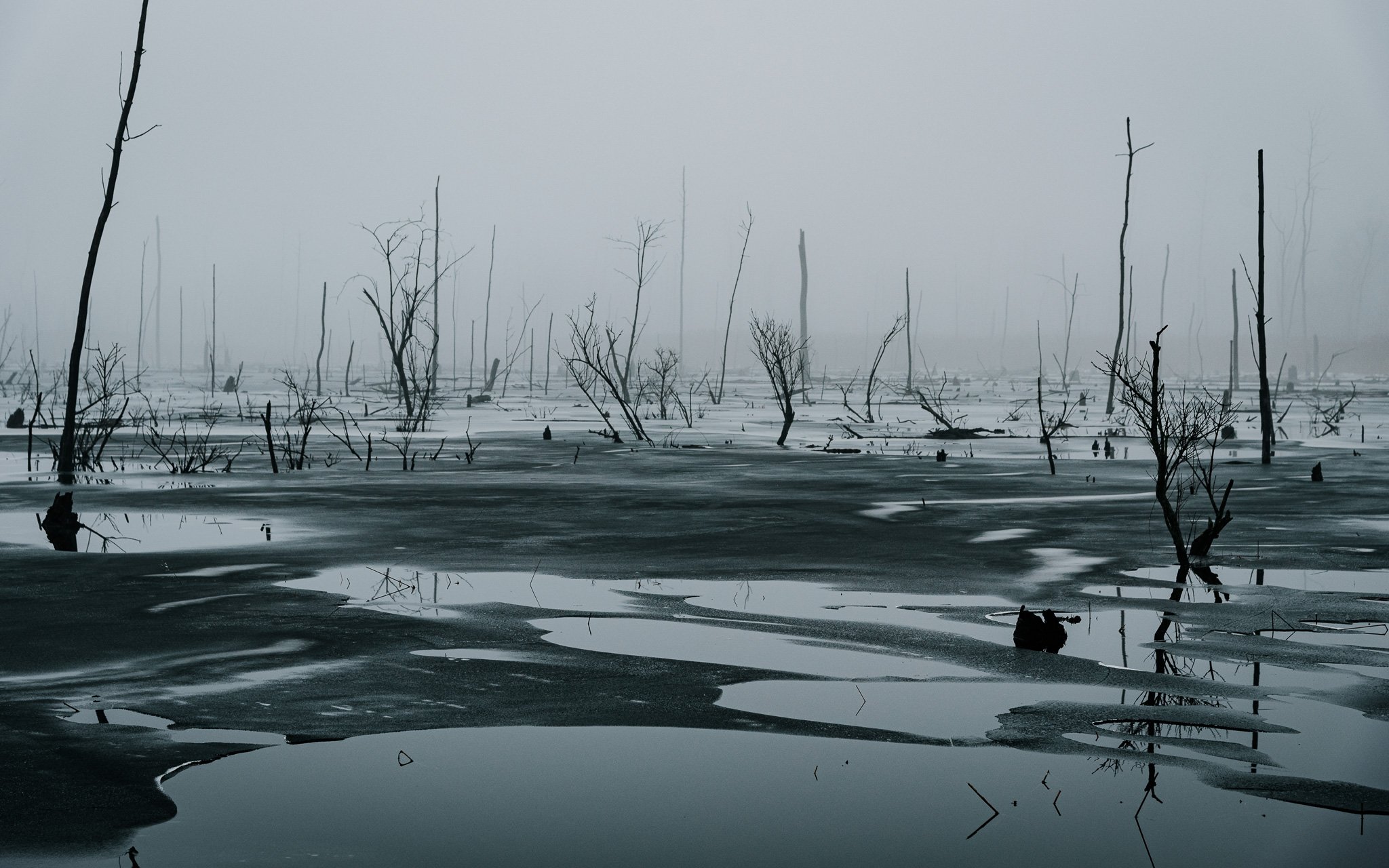 SuperFoggyHike_2024-01-27_09-02-48_WRW_2166_©Rafi WIlkinson2023.jpg