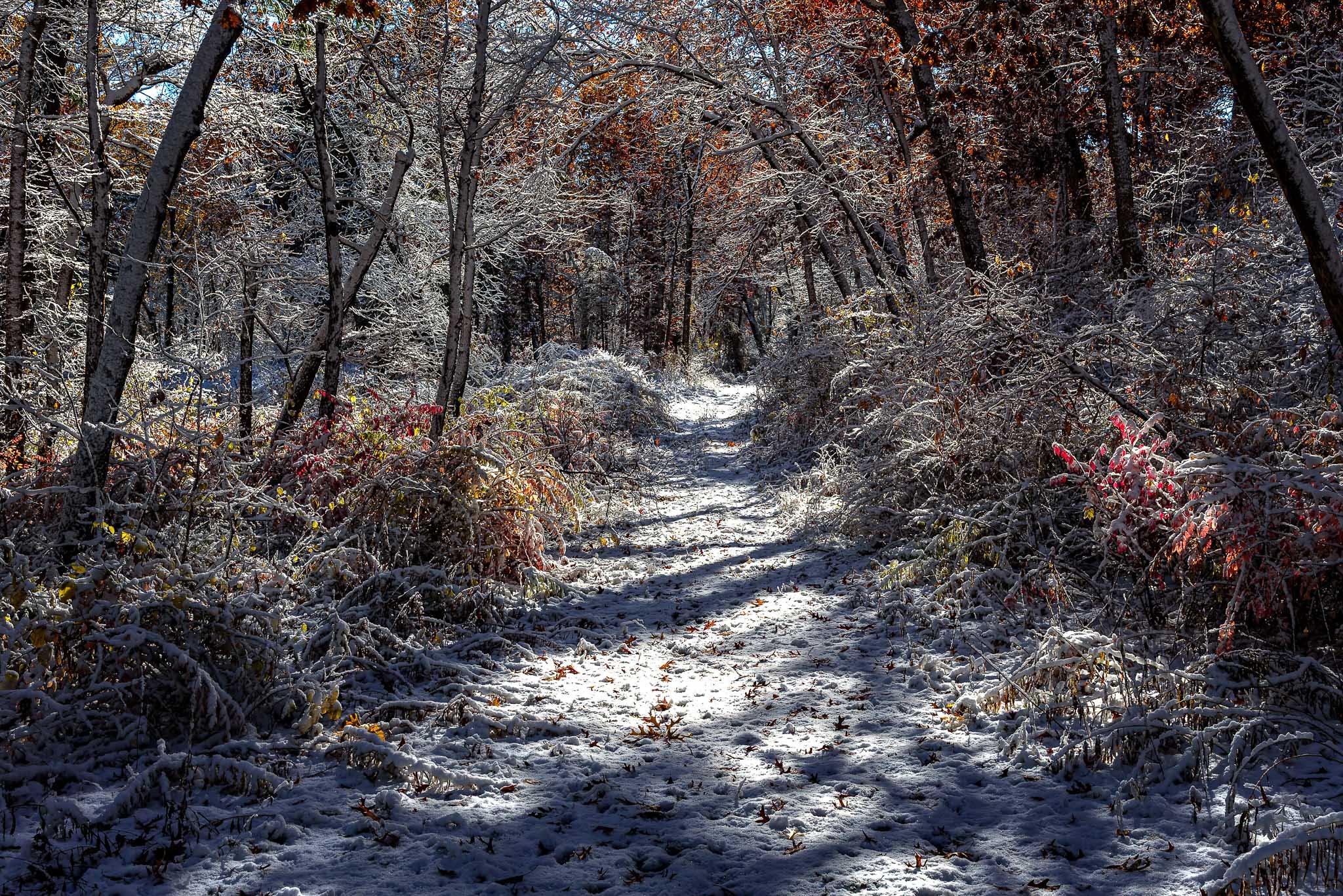 OctoberSnow_2025-11-10_10-19-47_WRW_4676_©Rafi Wilkinson2025.jpg