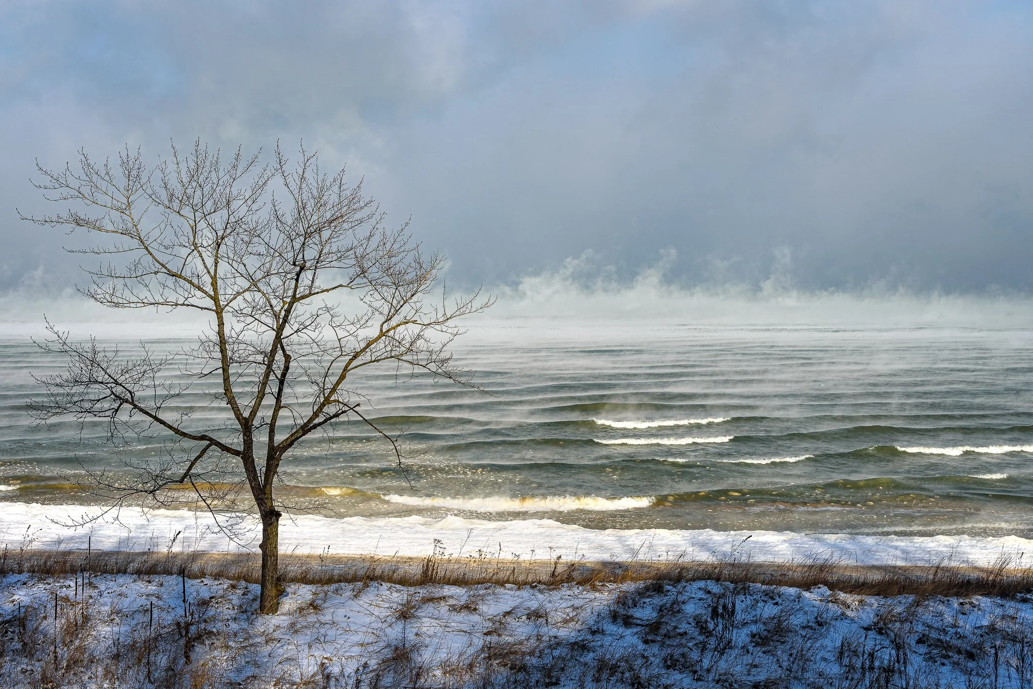 SteamLakeMichigan_2024-01-16_09-38-14_WRW_2133_©Rafi WIlkinson2023.jpg