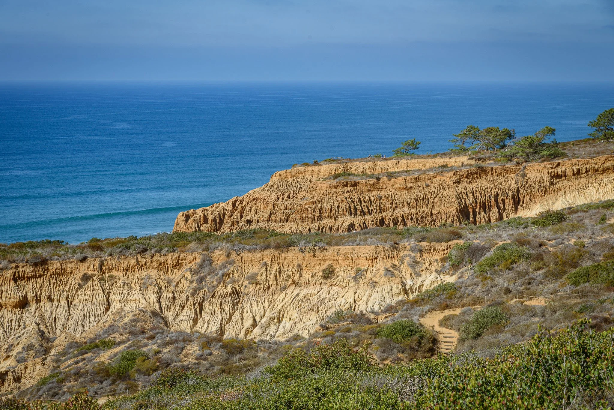 LaJollaCATrip_2025-10-24_14-53-48_WRW_4650_©Rafi Wilkinson2025.jpg