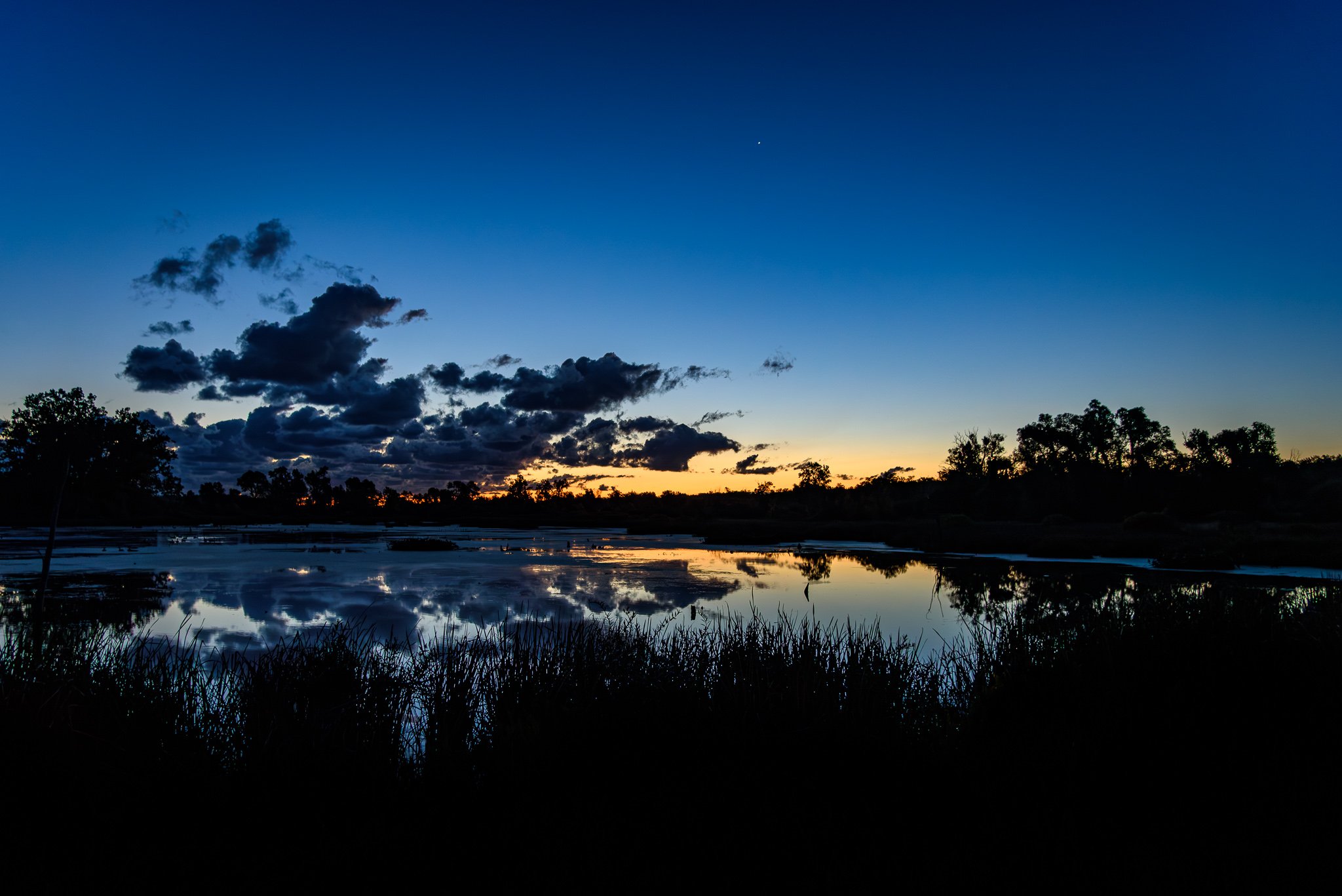 GreatMarshSunrise_2025-09-06_04-56-11_WRW_4197_©Rafi Wilkinson2025.jpg