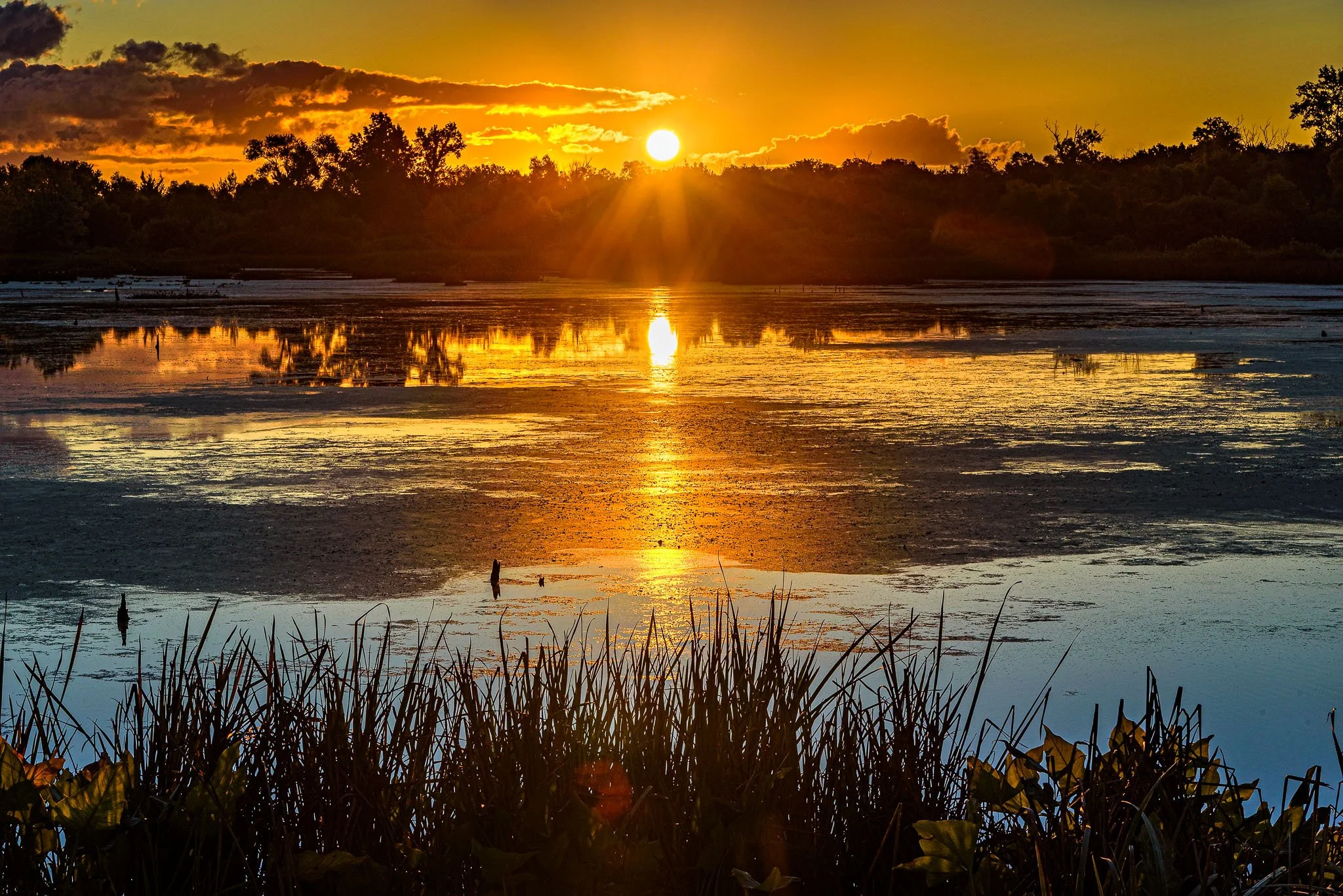 GreatMarshSunrise_2025-09-06_05-39-08_WRW_4306_©Rafi Wilkinson2025-HDR.jpg