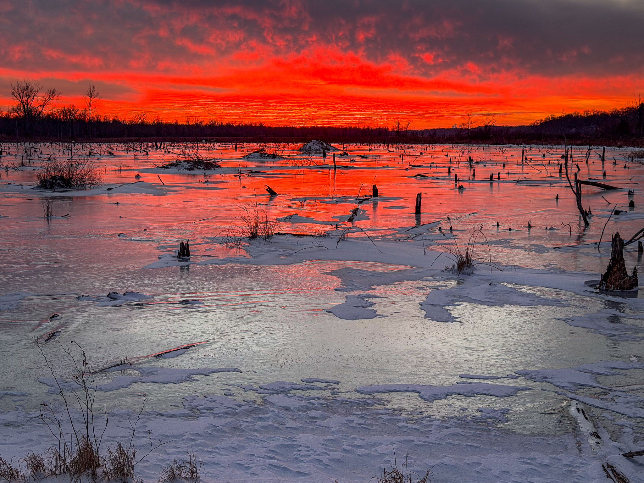 GreatMarshSunset_2025-12-15_16-30-26_sunset - 3_©Rafi Wilkinson2025.jpg