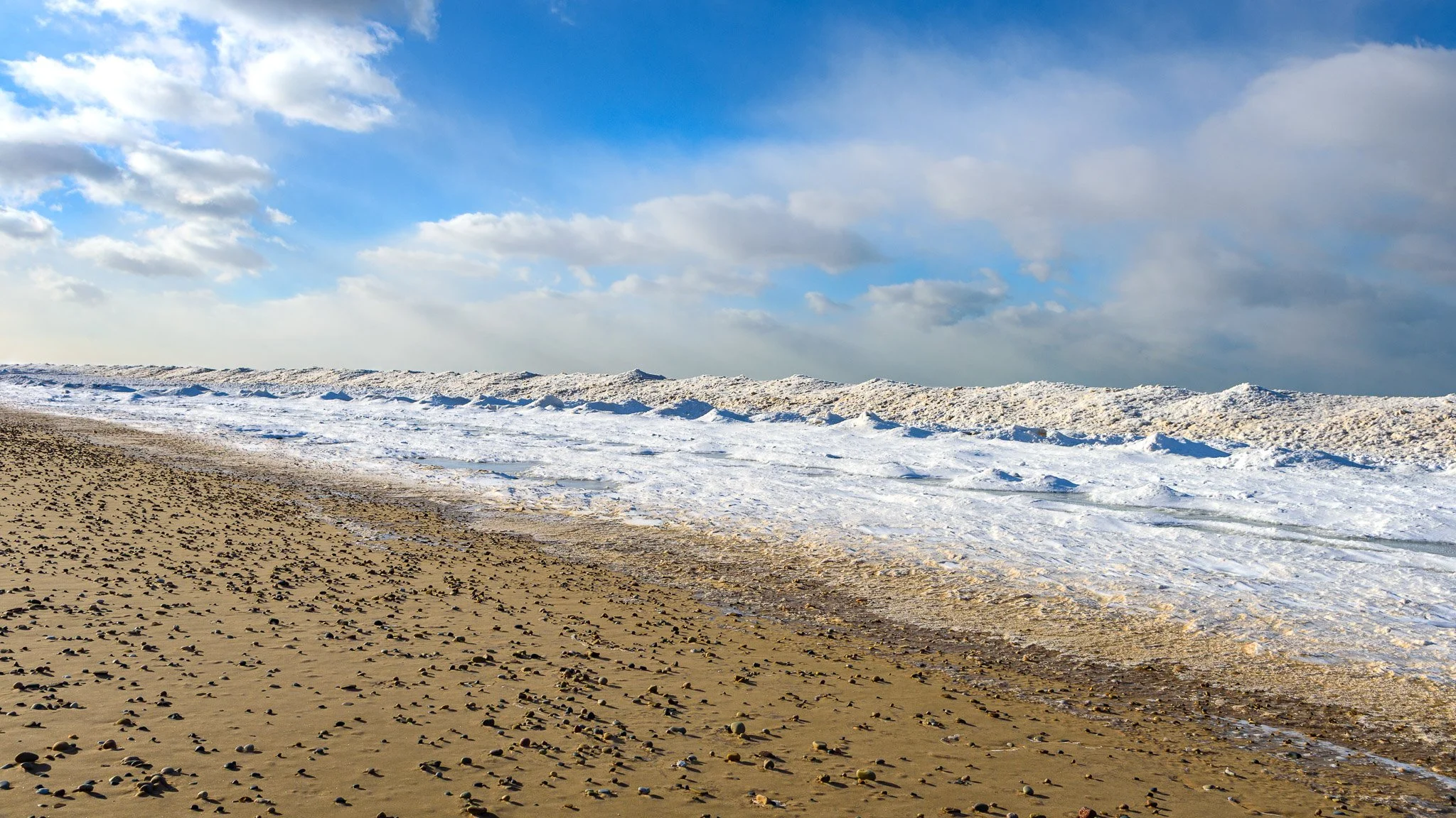 ShelfIce_2026-01-19_14-46-11_WRW_4853_©Rafi Wilkinson2025.jpg