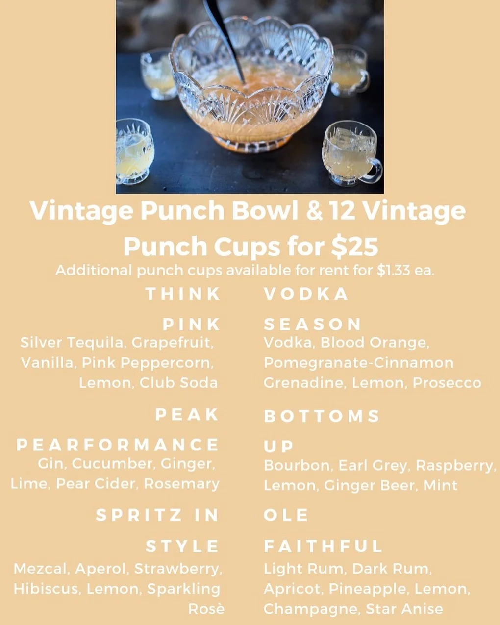 Mr. Bartender 2019 Punch Program.jpg