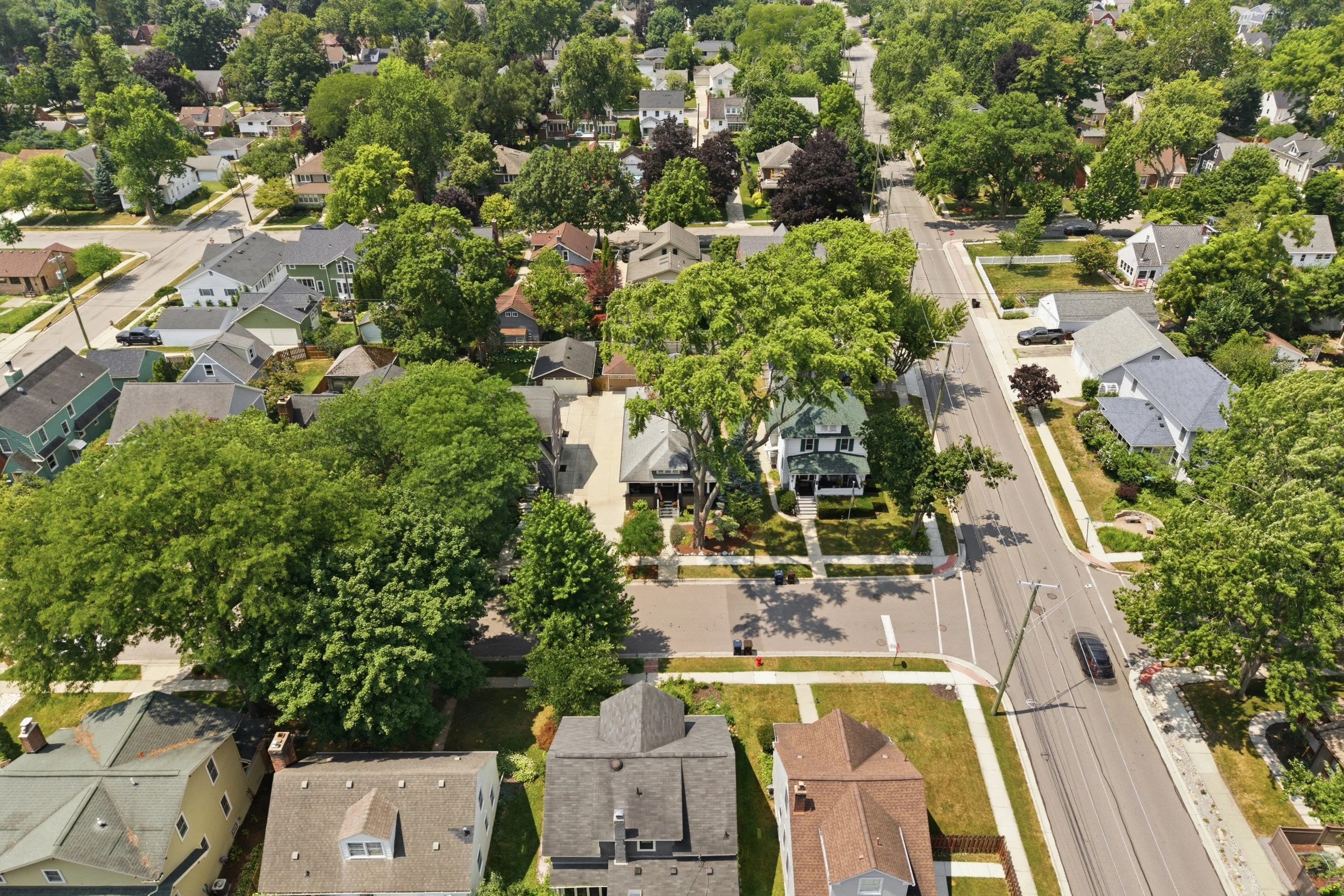 55_465 ann st-55.jpg