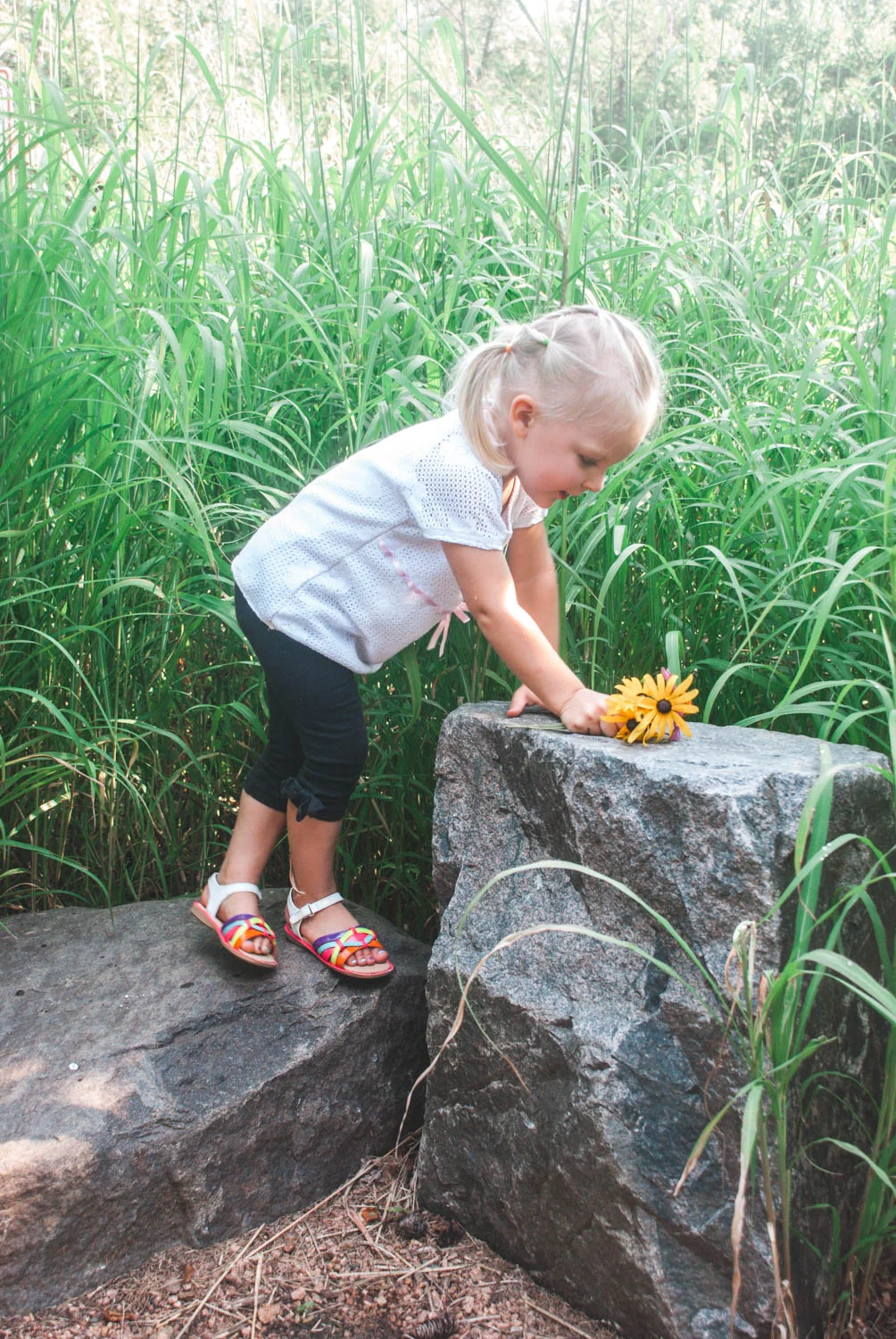 Summer big sister family photoshoot