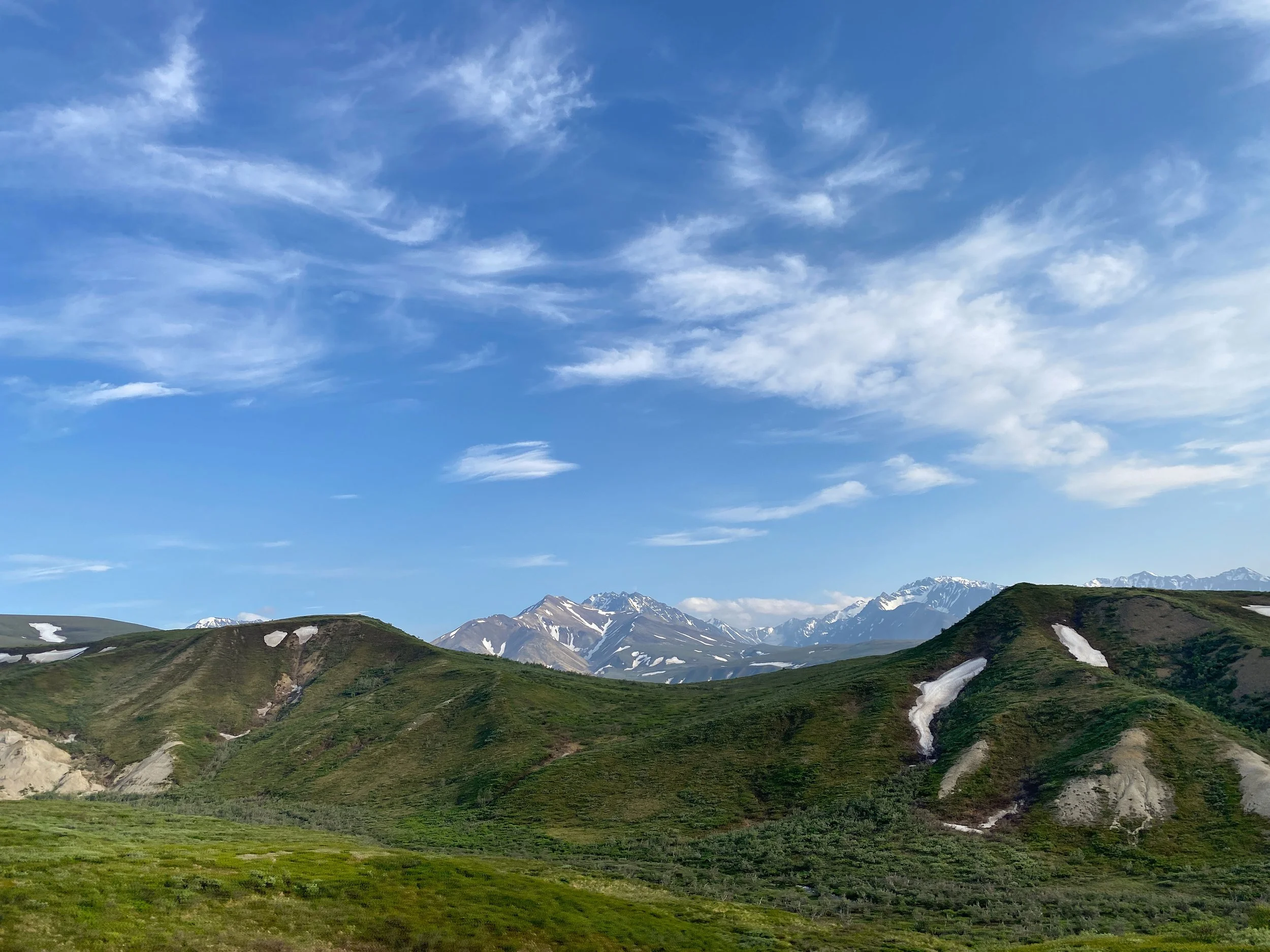 Denali National Park Alaska — Amy K Photography
