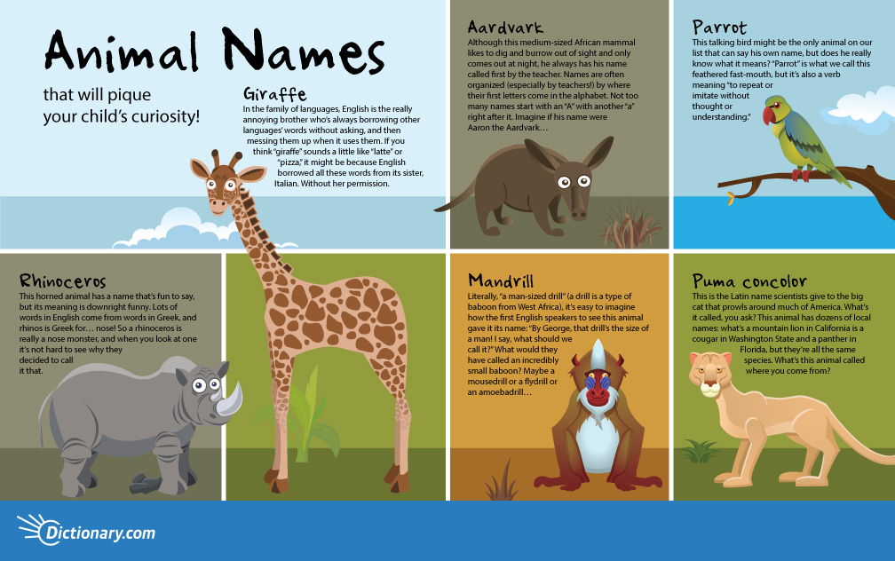 This animal is big. Инфографики про животных. Инфографика с животными. Инфографика о животном. Про животных инфографика для детей.