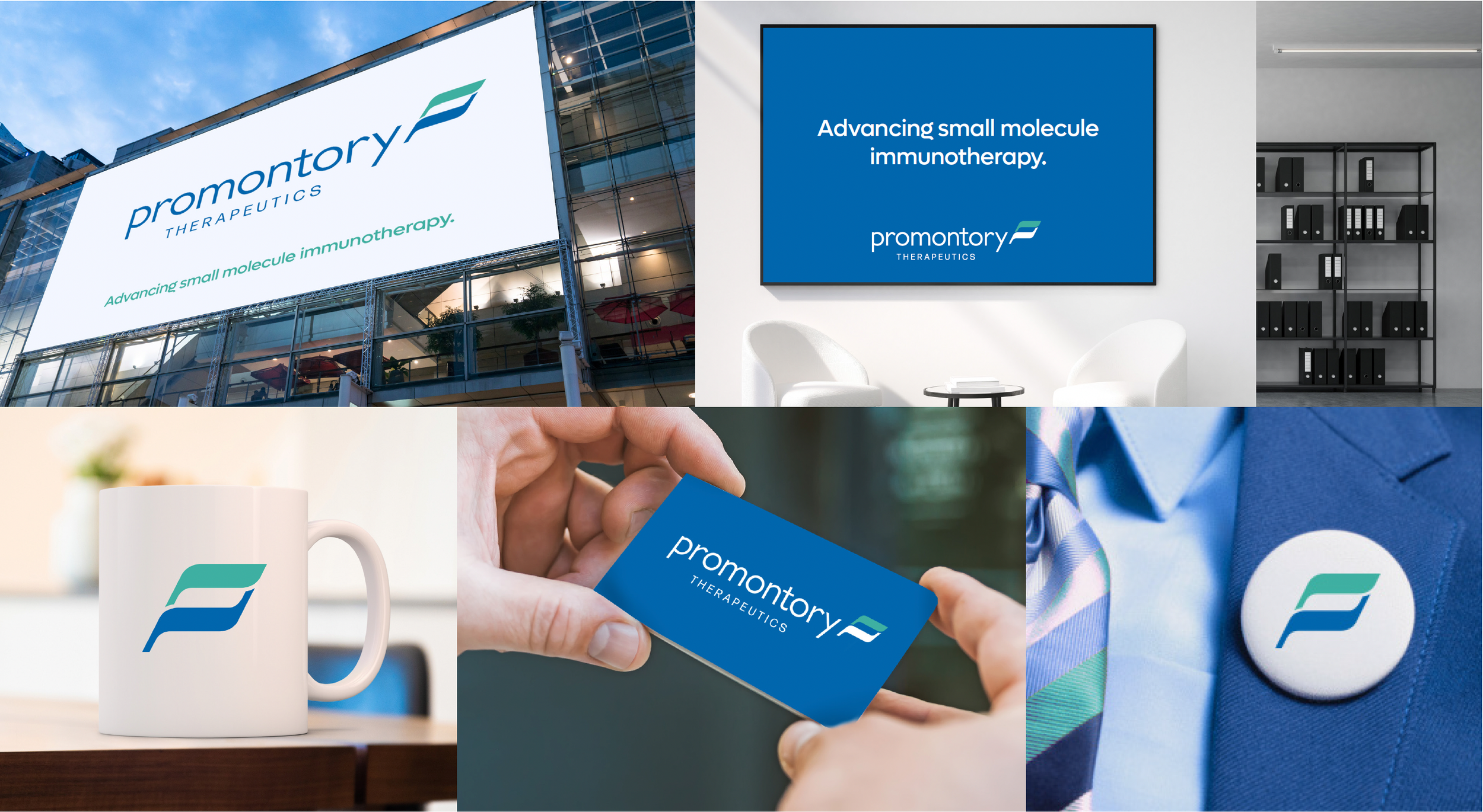 Promontory therapeutics brand story.png