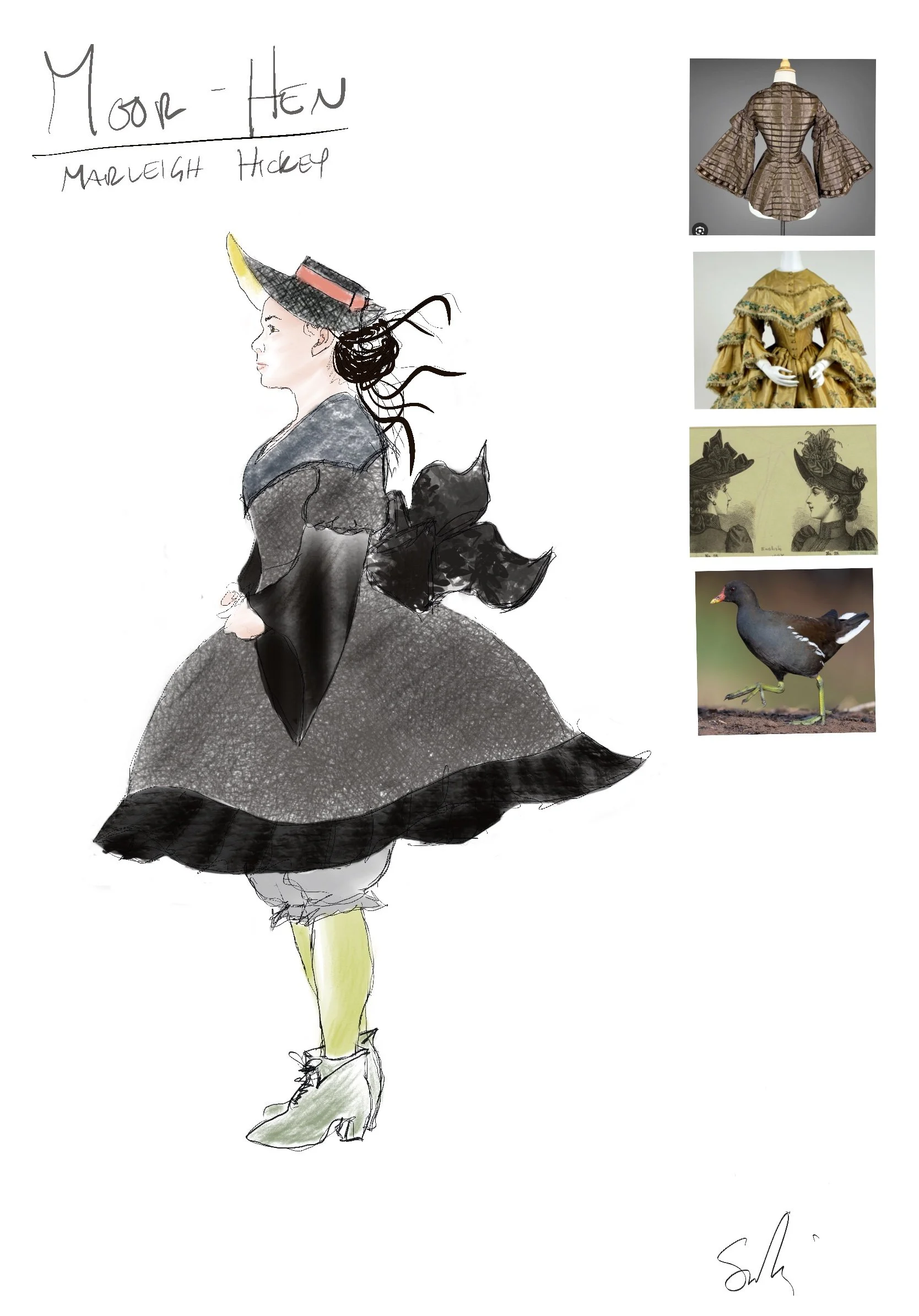 Moor_Hen.jpeg