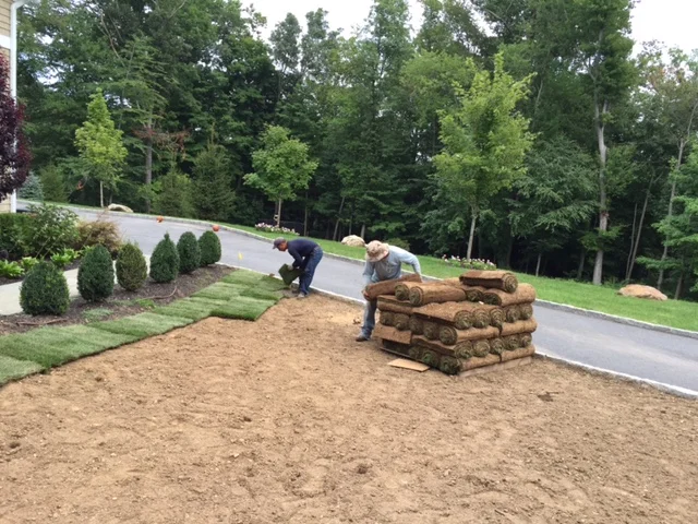 Sodding