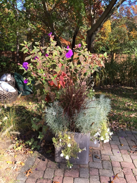 Planter