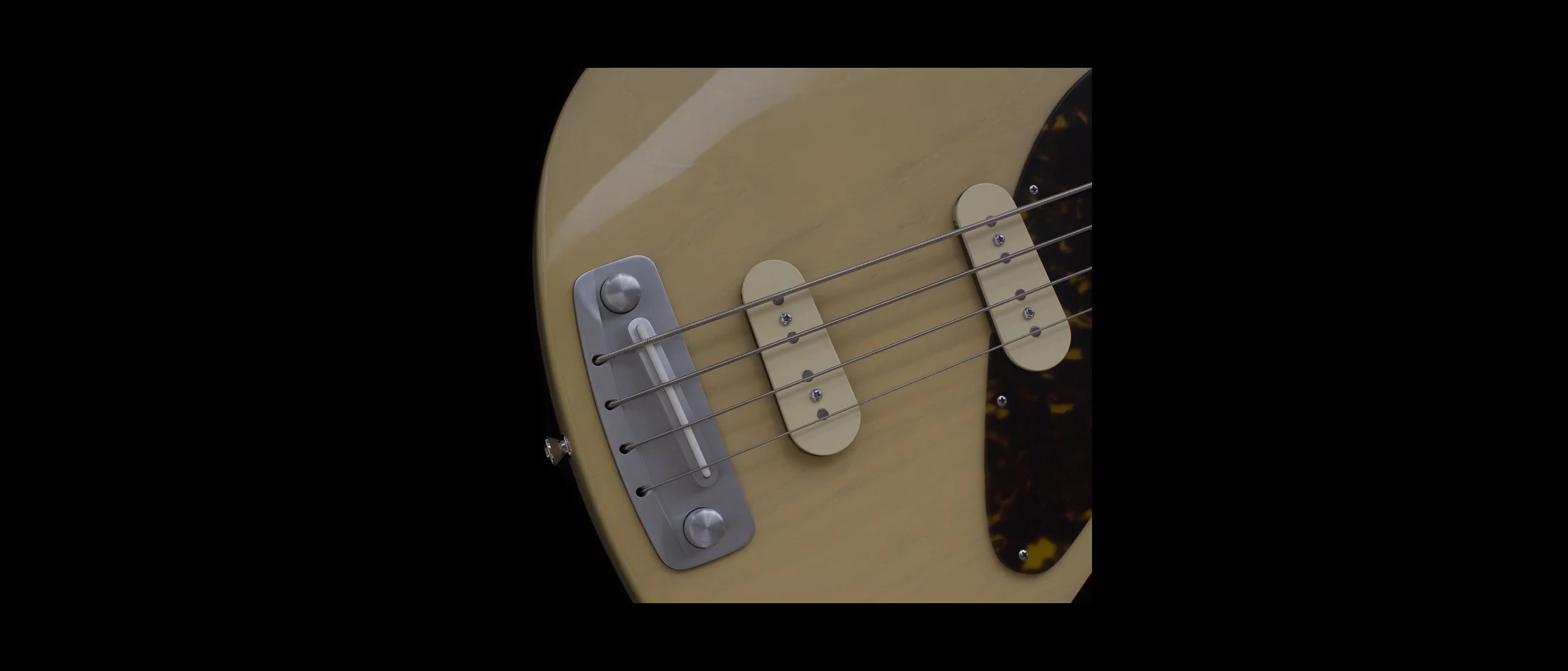 S4-pickups-S1.jpg