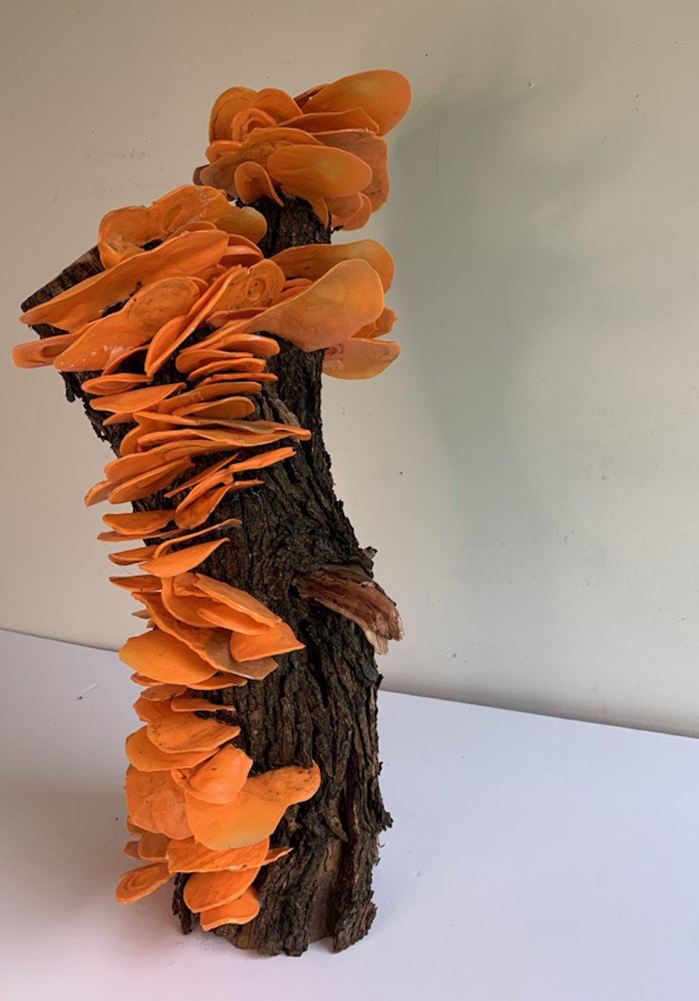 reconstituted orange