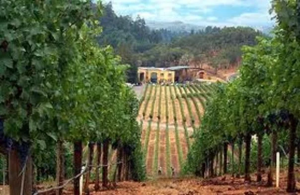 Portugal Banner 01.jpeg