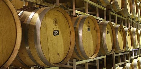 Argentina Banner 01.jpeg