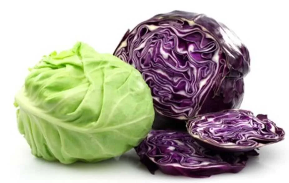 Cabbage.jpg