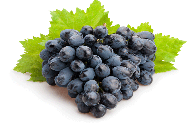 Grapes, Black.gif