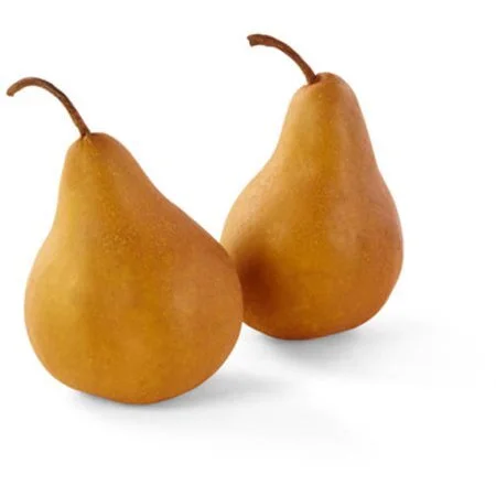Pear, Bosc.jpeg