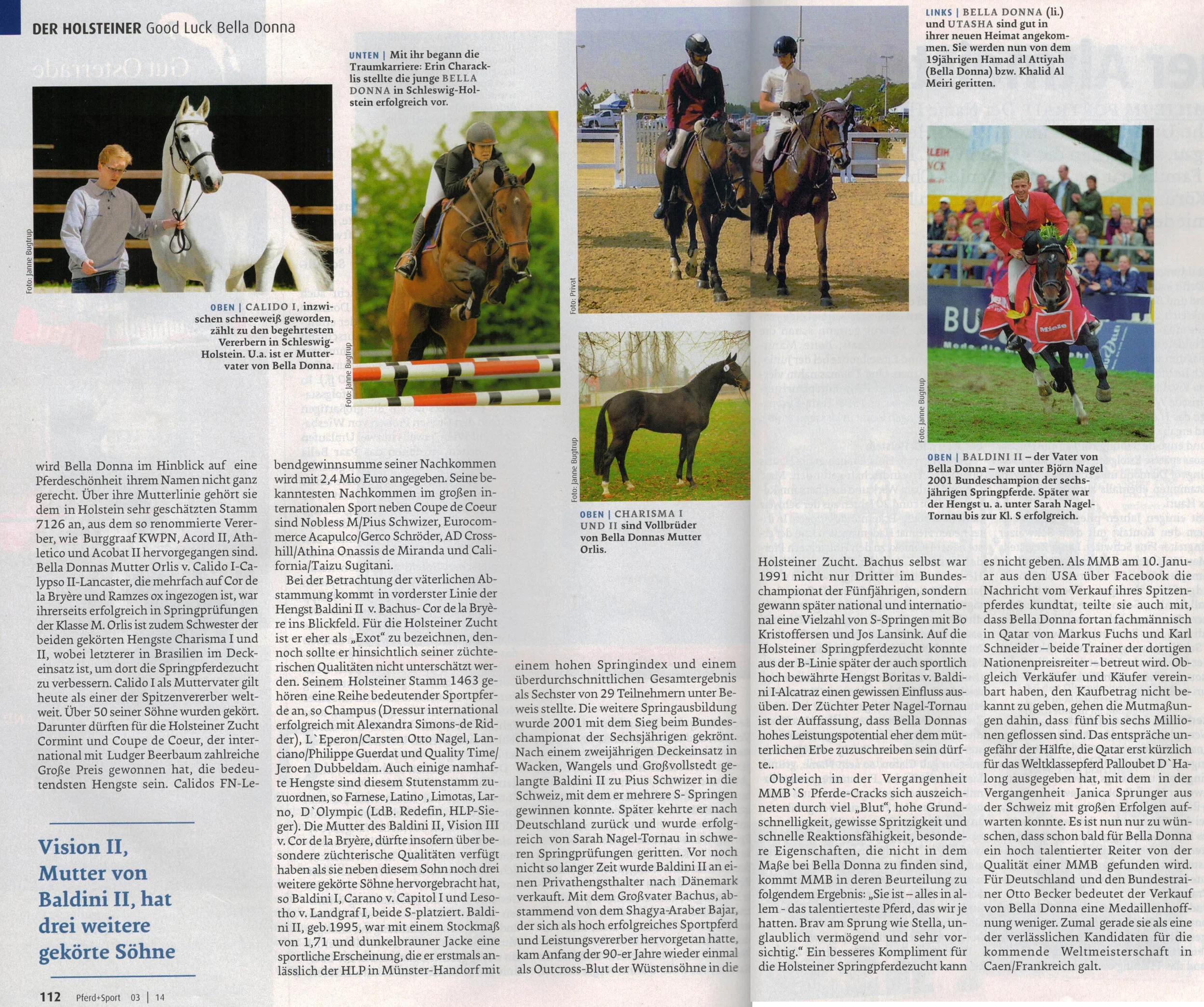 Pferd + Sport März 2014