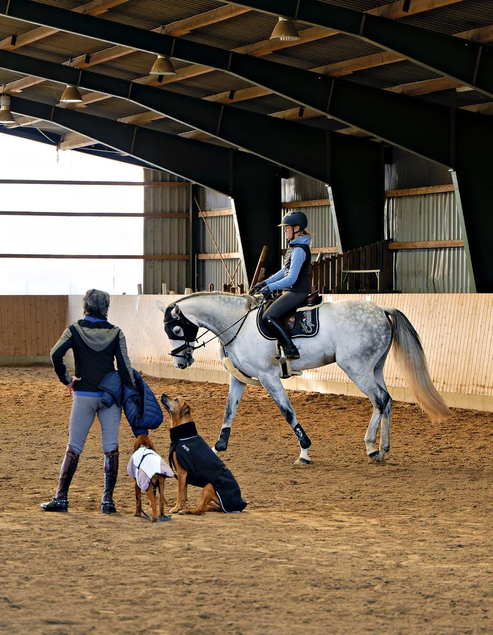 20241013-SD9_9766-NEF-Bearbeitet13. Oktober 2024.jpeg