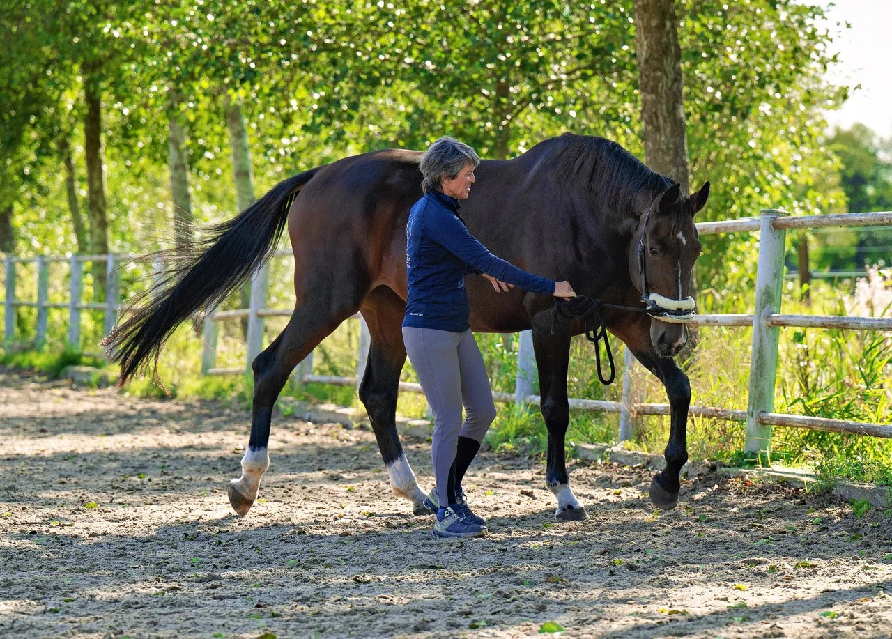 SD9_7805-Bearbeitet06. Oktober 2024.jpeg