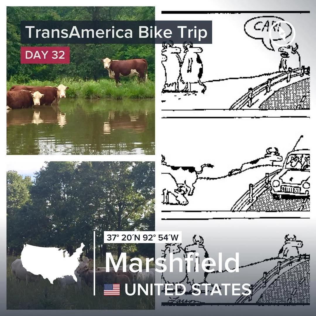 Houston, Missouri to Marshfield, Missouri