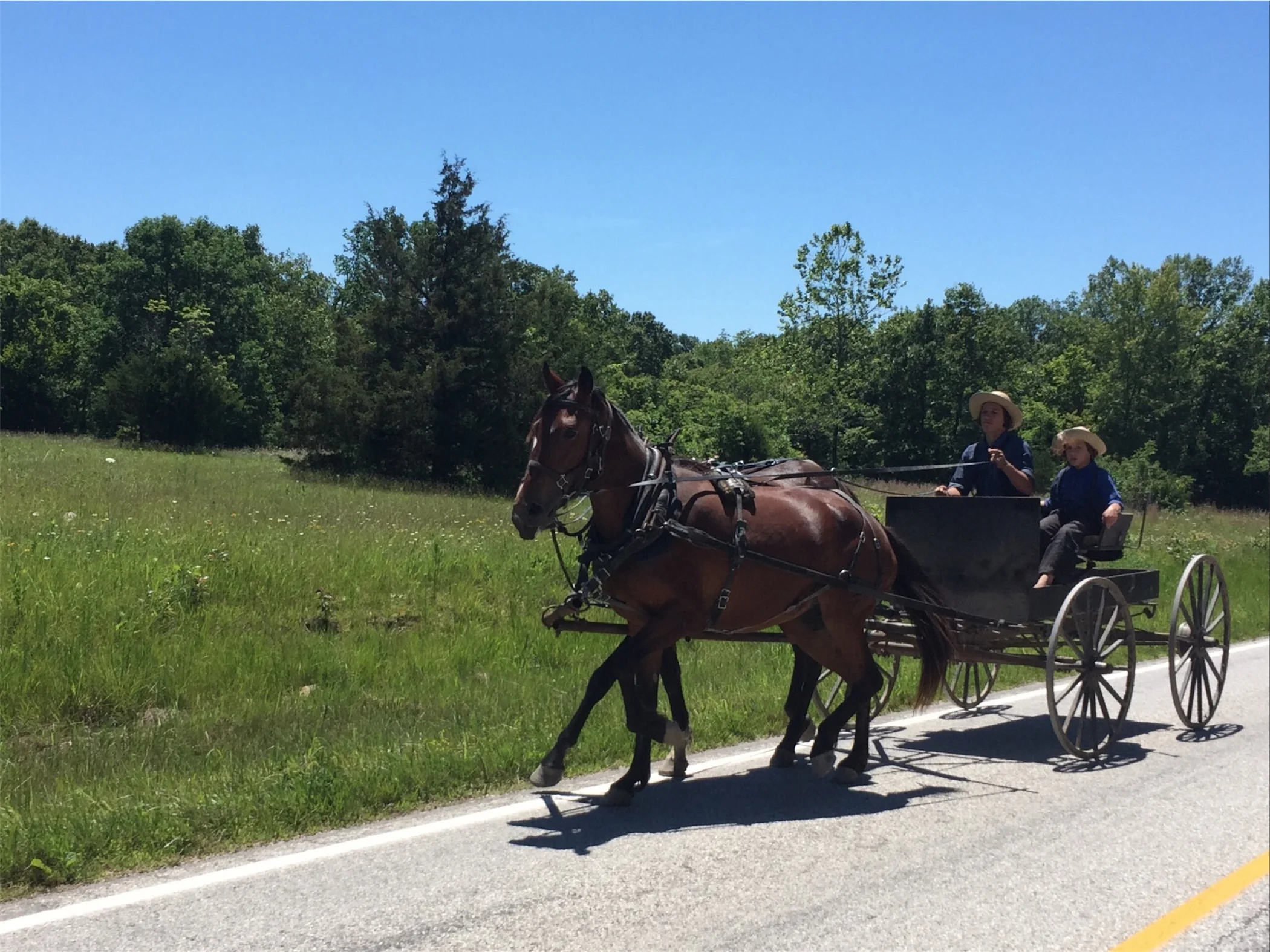 We are still in Amish and Mennonite Country. This buggy passed us heading East.