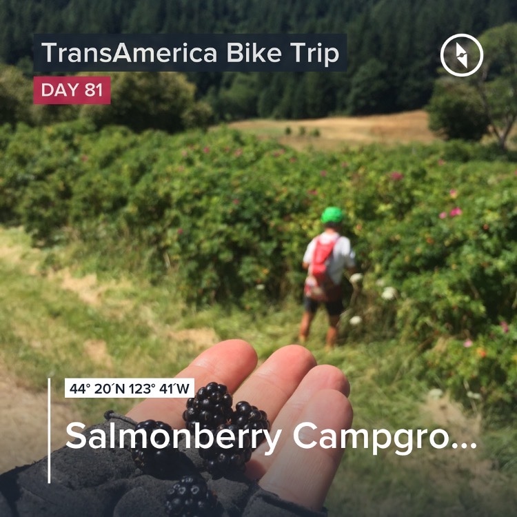 Bill, our retired Park Ranger on the trip, stopped to forage on the road as he has routinely done whenever he spies berries, fruit, or other items. Today he found Rosehips which weren't that good, but Bill assures me they're really good for you. Als…