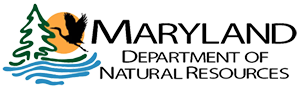 dnr_logo.png