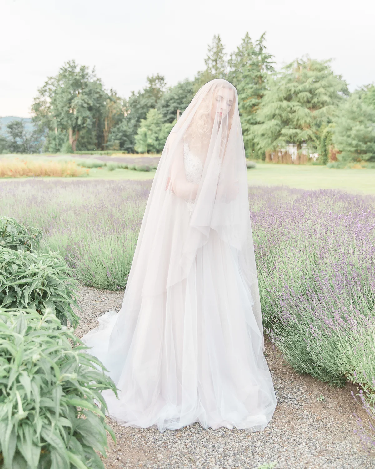 Lavender & Flutter - Anzhelika Gekkelman Photography-52.jpg