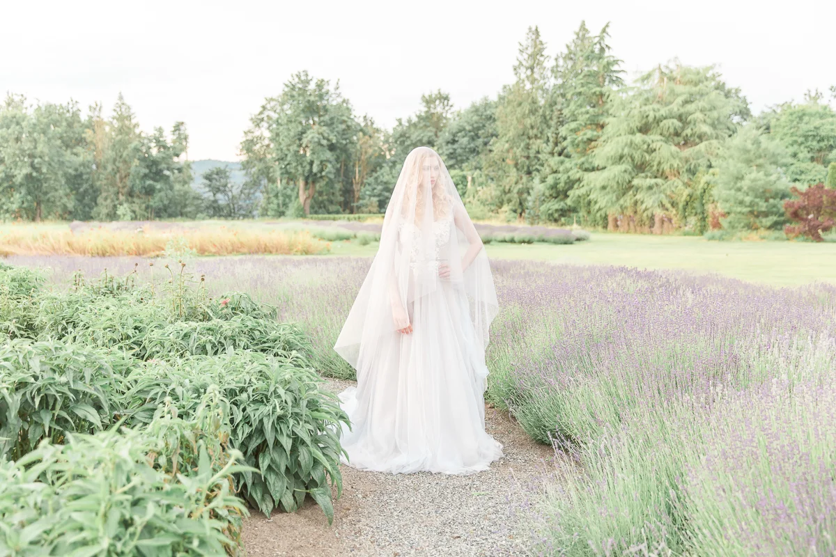 Lavender & Flutter - Anzhelika Gekkelman Photography-53.jpg