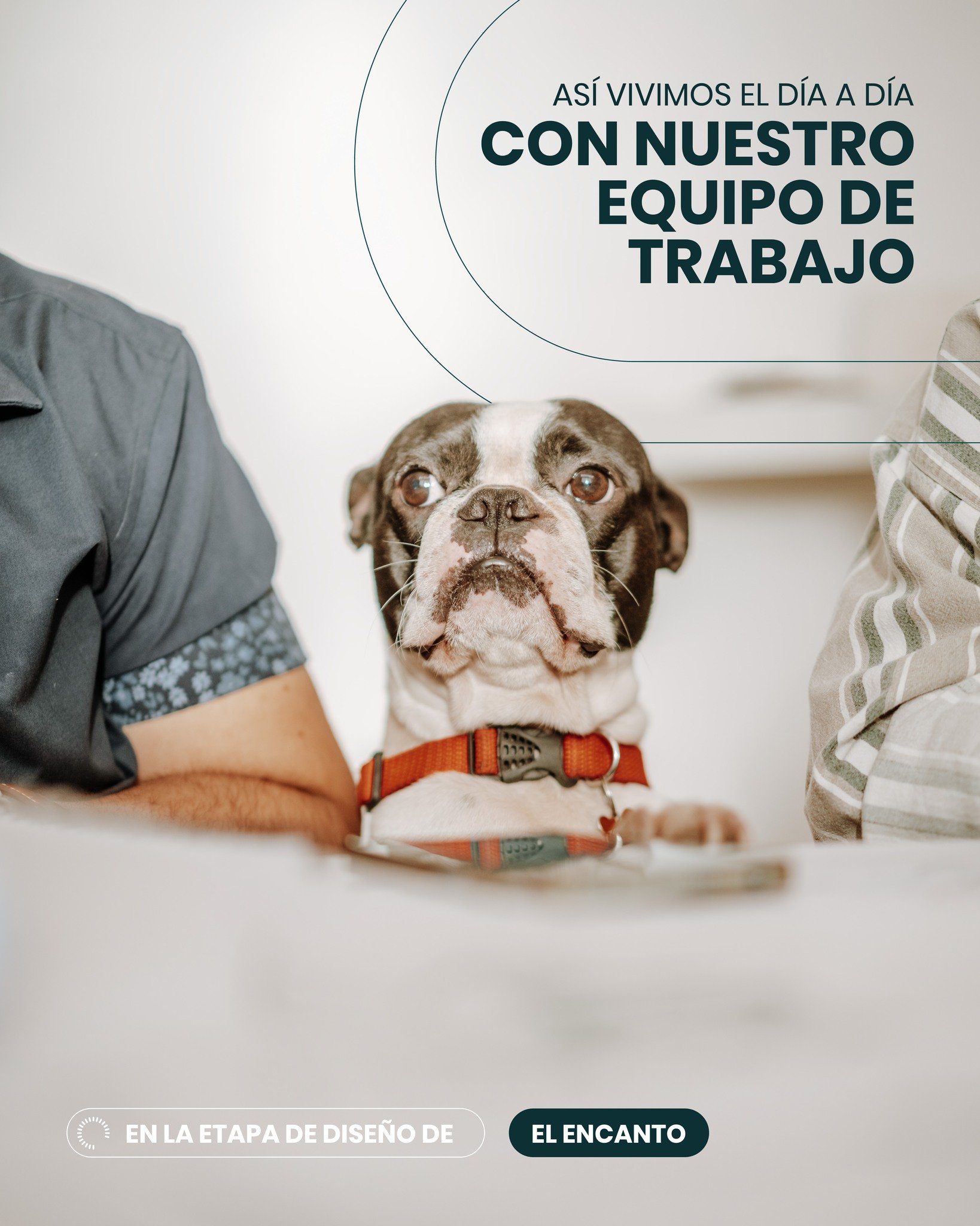 Bal&uacute; nunca se pierde una reuni&oacute;n de dise&ntilde;o, siempre atento a cada detalle del proyecto. Con su estilo inconfundible y su esp&iacute;ritu curioso, supervisa cada idea en la fase de dise&ntilde;o y conceptualizaci&oacute;n de El En