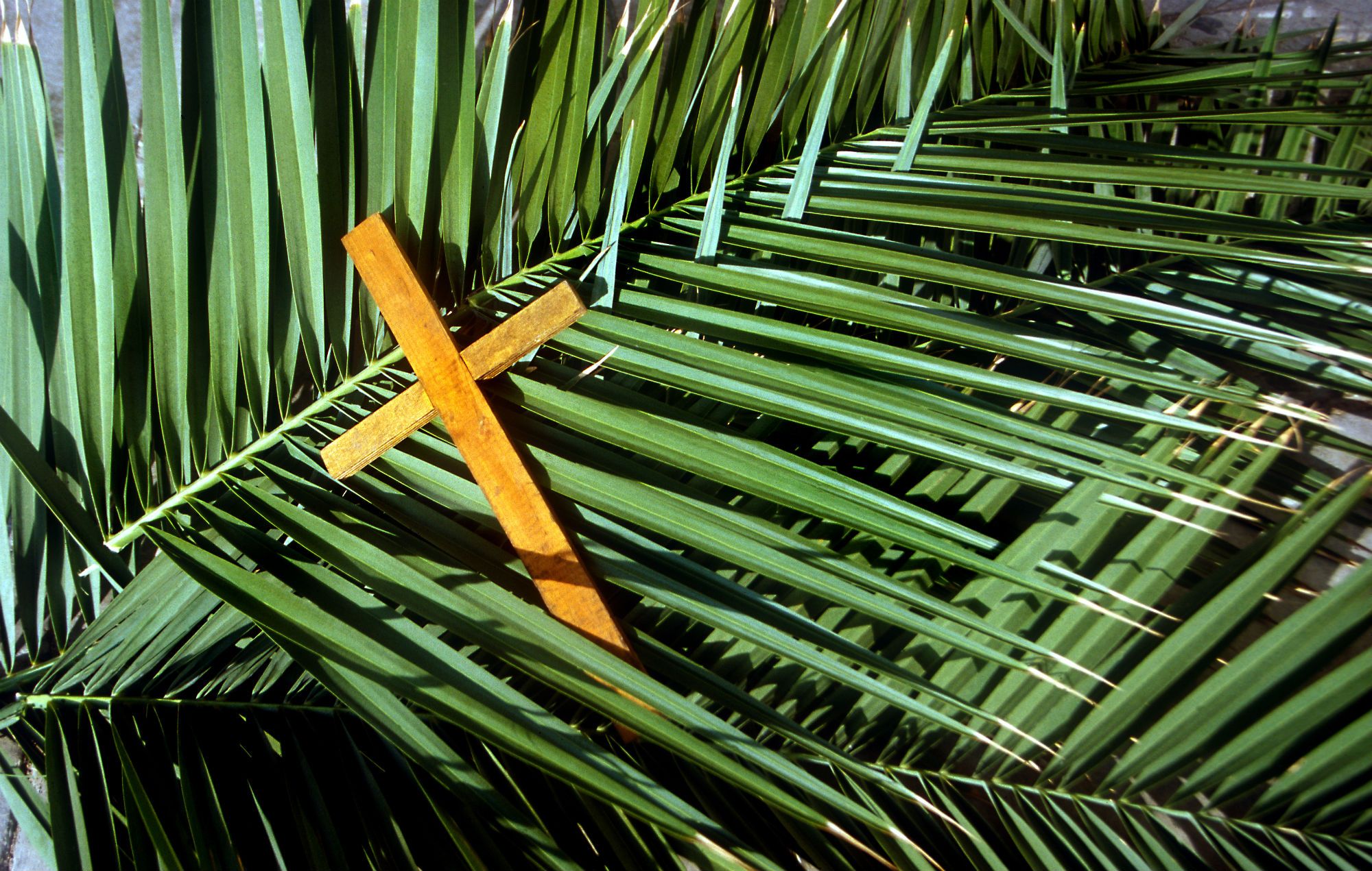Palm Sunday: Holy Eucharist & Easter Egg Hunt