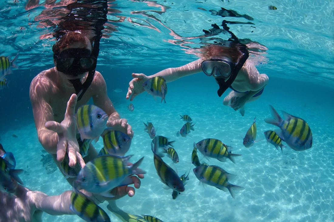MEXICO ROCKS Situated in calm shallow water inside the reef, Mexico Rocks is home to a wide assortment of small creatures. Includes: water Depart 8:30 am or 1:30 pm Return 12:00 pm / 4:00 pm