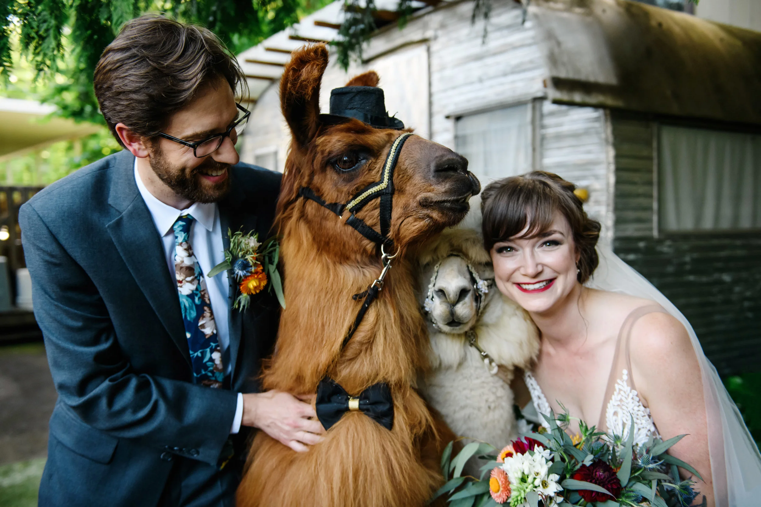 Dayna &amp; Max's Wedding Sneak Peek from the Colony St Johns