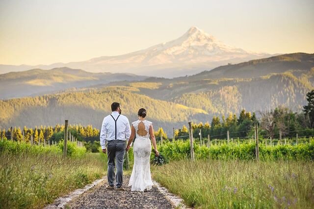 Oregon, you pretty. This was taken at one of my favorite venues in the PNW: @gorgecrest. This is one of several places on the property with pathways, vineyards, wildflowers and that exceptional view of Mt Hood. ⁠⠀
.⁠⠀
.⁠⠀
.⁠⠀
#honeysucklephotography 